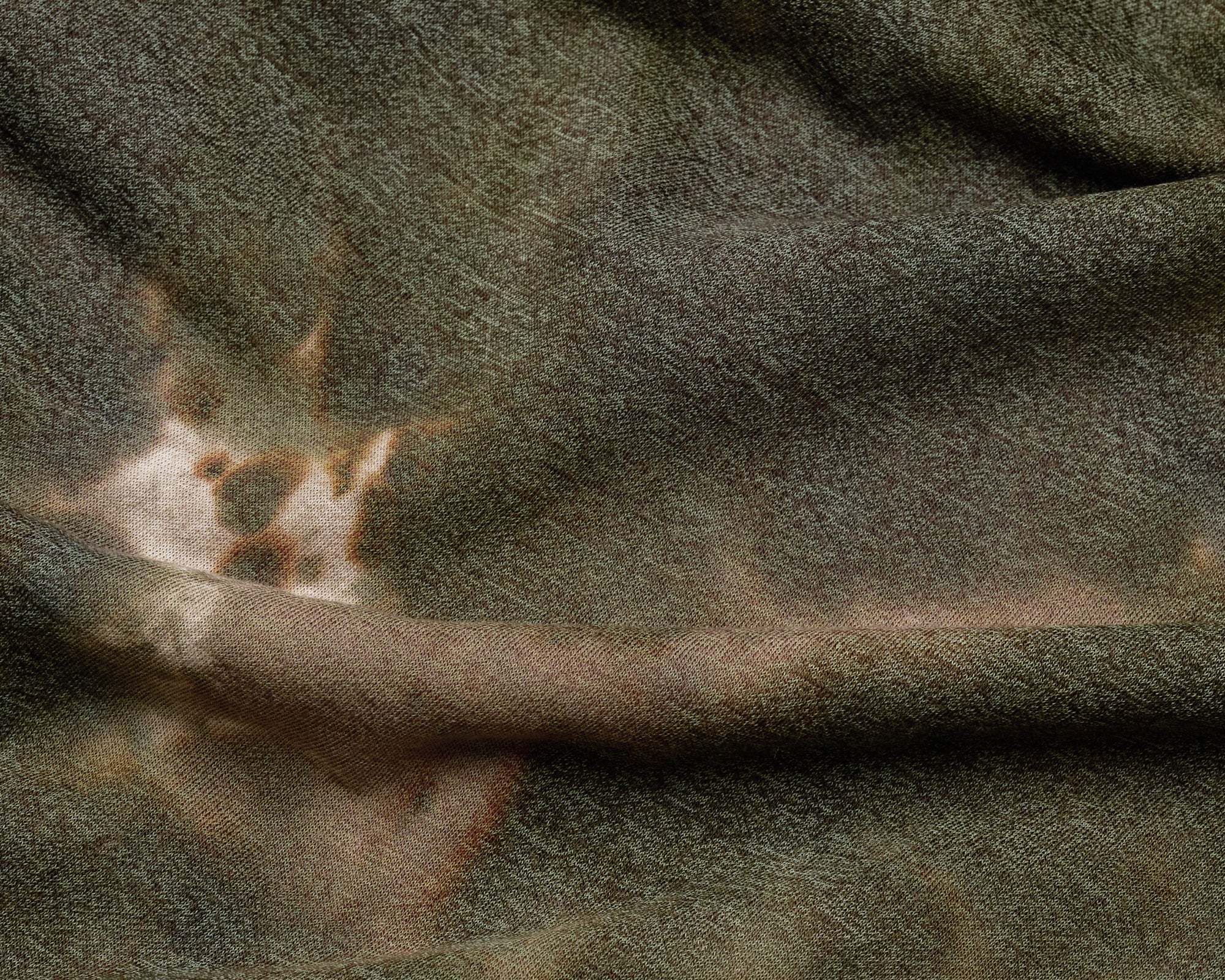 Satisfy CloudMerino Cordura T-Shirt